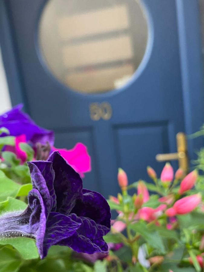 Summer Cottage In Kinsale Ngoại thất bức ảnh
